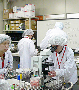 日本べんとう振興協会、13年度「食品微生物検査技士」受講者募集
