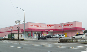ドラッグストアの成長戦略 7 コスモス薬品 ディスカウント強化 九州600店に上方修正 日本食糧新聞電子版