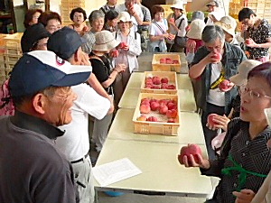 農場で収穫したばかりの桃の香りをかぐ参加者たち