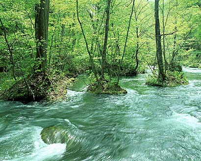 大自然が育む悠久な水は、限りある資源でもある