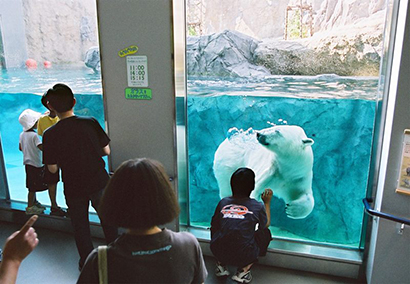 行動展示で有名になった旭山動物園
