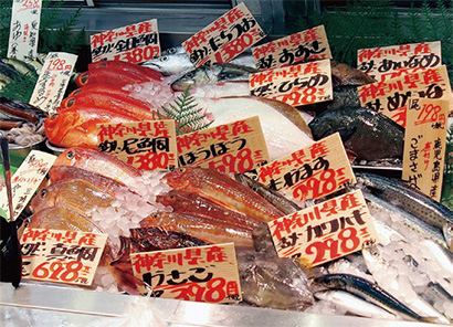 魚は神奈川県から。新鮮でピチピチしています