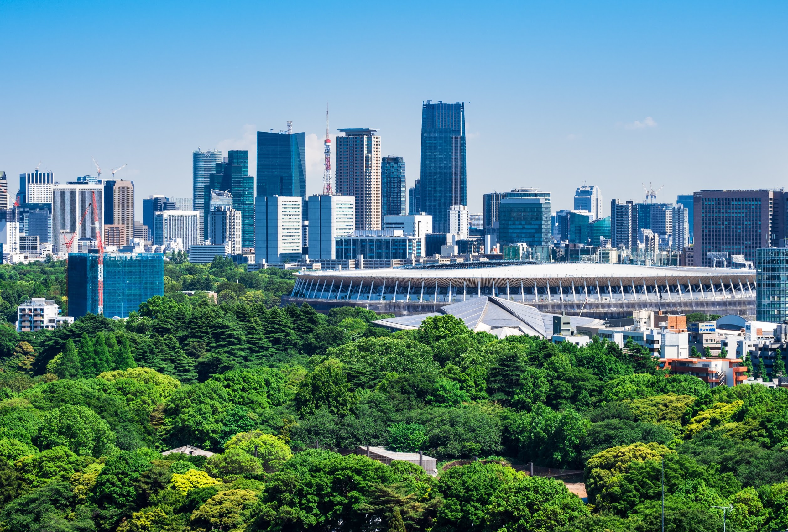 東京2020大会の長期交通規制にむけ食品業界の物流対策は