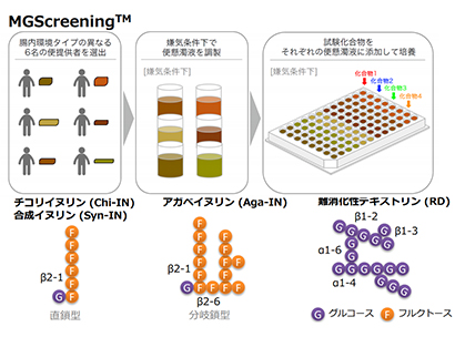 「MGScreening」を活用したin vitro試験
