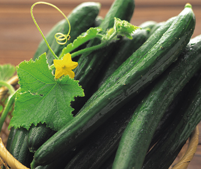 野菜果物で一皿のサプライズ きゅうり 日本食糧新聞電子版