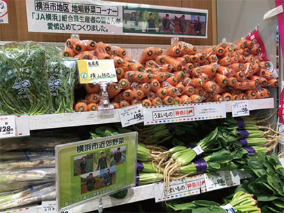 横浜市内の生産者10人が全面協力。毎日、野菜が直接店舗に届く