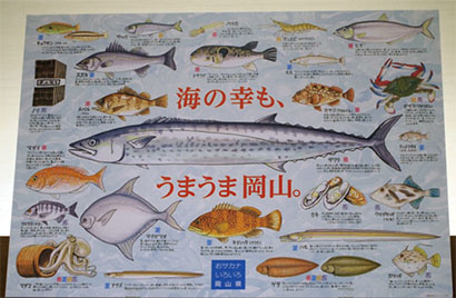 全部食べてみたくなる岡山の魚たち