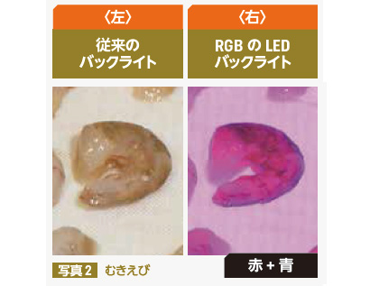 特集 異物混入対策 金属 硬質異物 毛髪編 技術focus6 サムテック イノベーションズ 日本食糧新聞電子版
