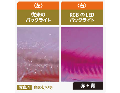 特集 異物混入対策 金属 硬質異物 毛髪編 技術focus6 サムテック イノベーションズ 日本食糧新聞電子版
