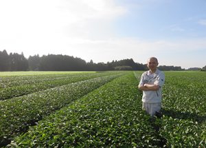 伊藤園　ドリンク青汁市場創造へ