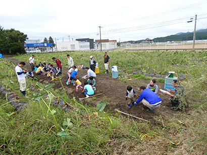 19年10月に新城営農センターで開催した「八名丸里芋収穫体験交流会」。地元伝統野菜「八名丸里芋」の学習や収穫体験、八名丸コロッケの試食など行った