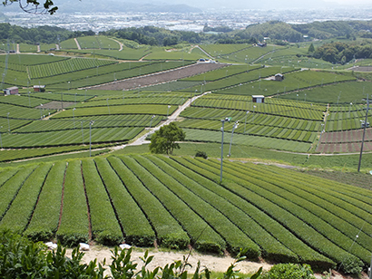 ◆九州食品産業特集：広がりみせる「地産地工」　6次産業化推進地盤揃う