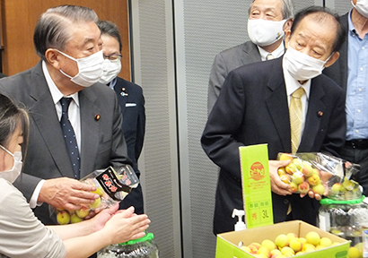 大島理森会長（左）と二階俊博幹事長が梅酒漬け込みのデモンストレーションを行った