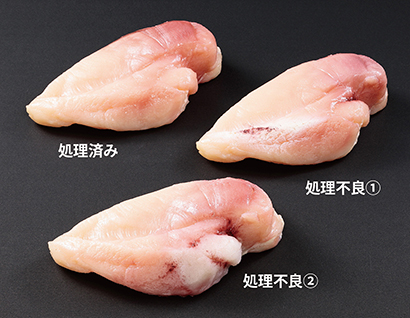製品紹介：イワサキ・ビーアイ「食品サンプル模型」 - 日本食糧新聞電子版