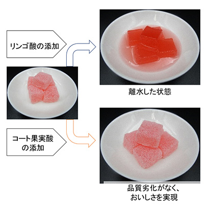 ゼラチン（グミ）の酸溶解の防止効果