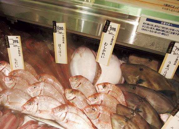 銚子港直送の魚たち。さばくのはお店にお願いできます