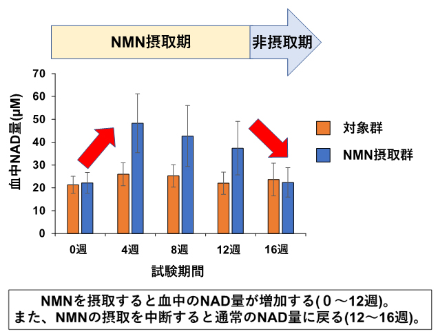 NMNのヒトでの安全性・代謝への影響を解明（富山大との共同研究結果）