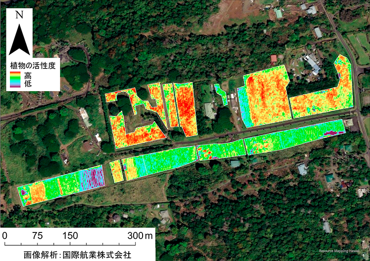 UCCハワイコナコーヒー直営農園における衛星画像解析イメージ（UCC上島珈琲）