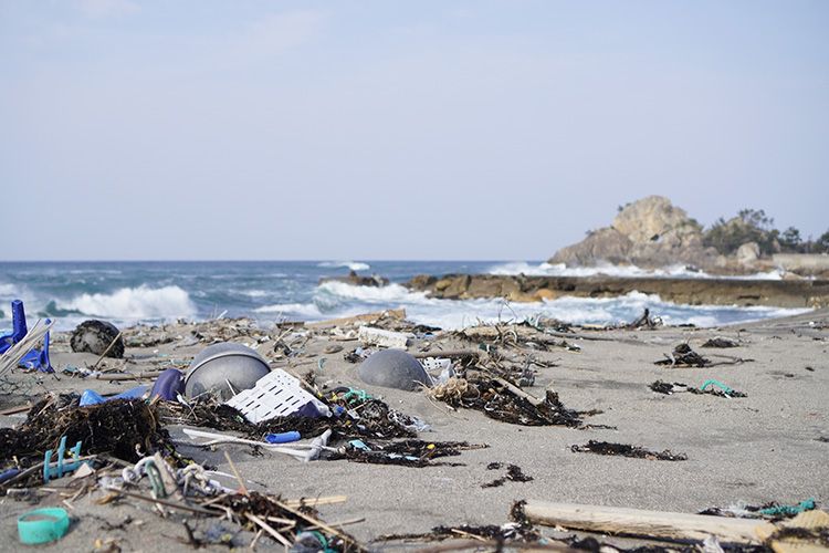 浜辺に打ち上げられるプラスチックごみ。海を汚染するだけでなく、そこに住む生き物にも深刻な影響を与えている