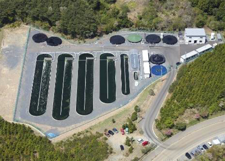 イービス藻類産業研究所の培養施設