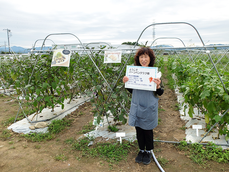 ヤサイな仲間たちファームの挑戦（下）野菜の知識や魅力、深谷で発信