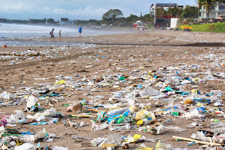 海洋プラスチックごみ問題の国際的関心が高まり、プラスチックとの向き合い方を見直す必要性が出てきた