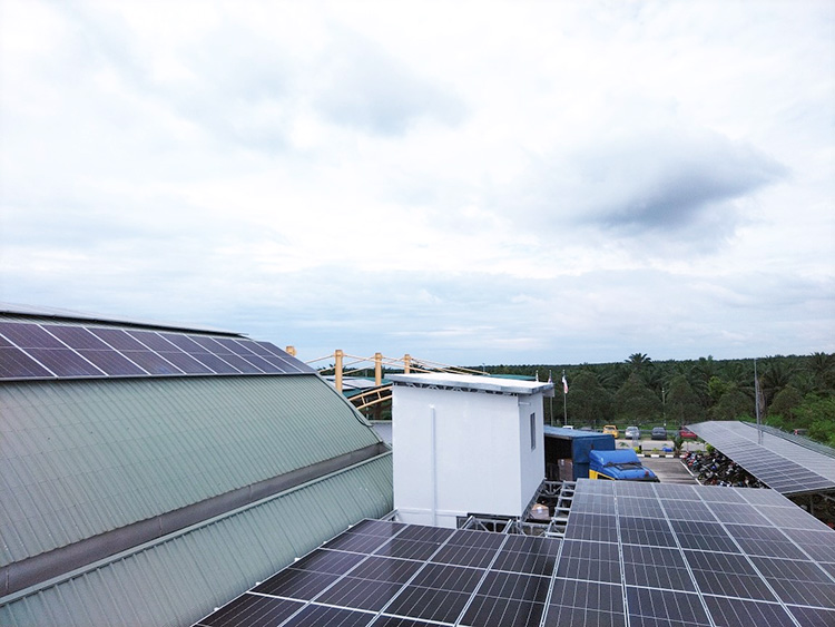 キユーピー、マレーシア工場で太陽光発電開始