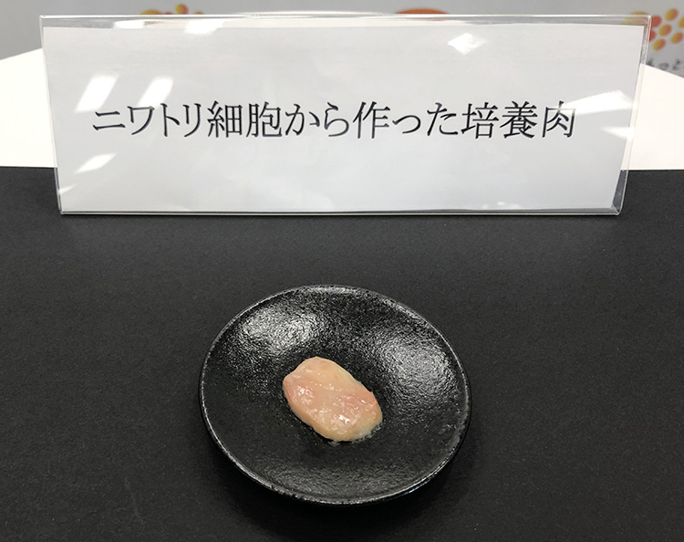 関西四国新春特集：日本ハム　培養肉の研究開発を推進