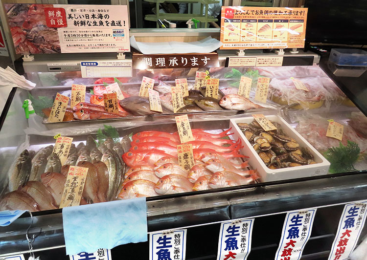 日本海の新鮮な生魚が並ぶ