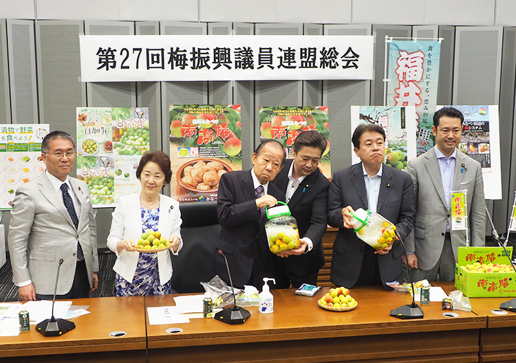 政府与党も原料生産・加工業者を応援（6月14日開催の梅振興議連総会）