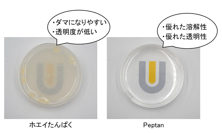 ルスロ社製コラーゲンペプチド「Peptan（ペプタン）」の優れた溶解性・透明性