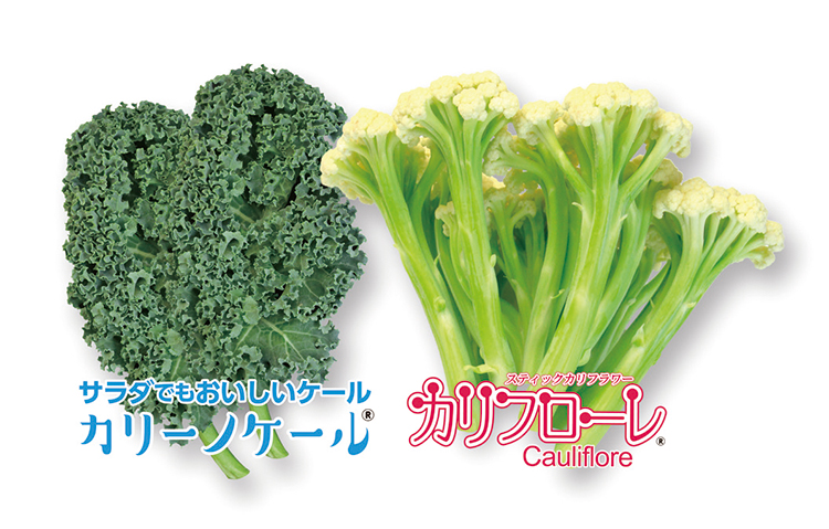 8月は秋冬野菜の種まき時期！　おいしい野菜の自産自消にチャレンジしませんか？