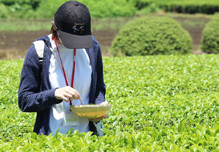 サステナビリティ特集：自分事化＝伊藤園　「お茶サポーター」日本のお茶の課題解…