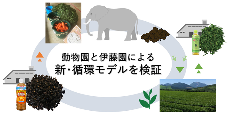 サステナビリティ特集：伊藤園　茶の循環型農業を推進