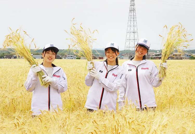 兵庫県産もち麦の普及には地元高校生も協力