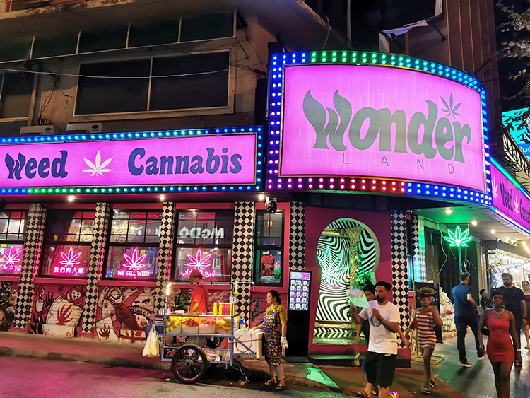 昨年6月の大麻解禁以降、タイでは大麻バー（写真）や大麻カフェなどが林立し、大麻クッキーなどが売られている＝5月、バンコクで小堀写す