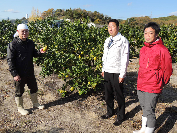 ポッカサッポロフード＆ビバレッジ、レモンで地域振興　広島大崎上島へ支援強化
