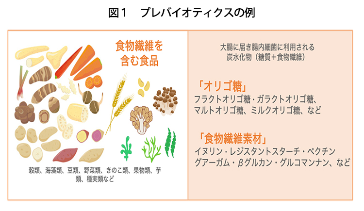 食品ニューテクノロジー研究会講演：メタジェン・中畔稜平氏