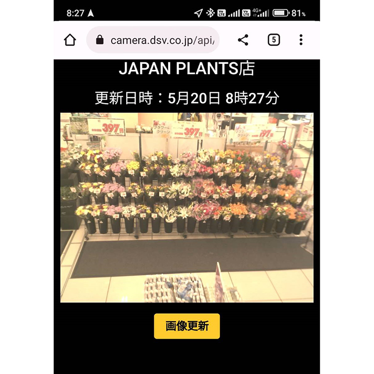 中部新春特集：ジャパンプランツ、ネットワークカメラ販売　生花売場管理を効率化
