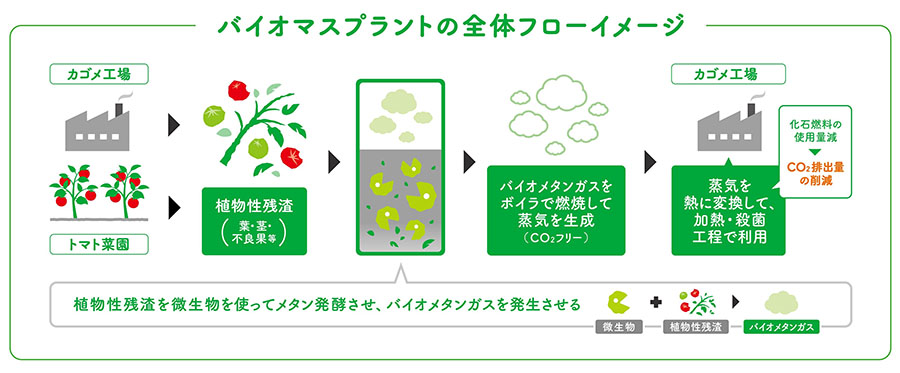 バイオマスプラントの全体フローイメージ