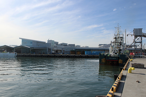 まぐろの水揚げ日本一を誇る塩釜港