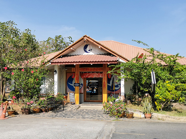 2007年に開業した日本食レストラン「白象」はこの地の和食店のさきがけだ＝タイ東北部スリン県で小堀晋一が1月13日写す