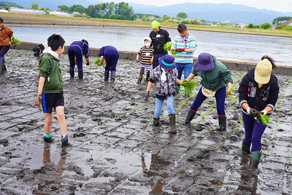 糖質最前線バランス食特集：アイリスオーヤマ　福島県浪江町の営農再開支援を