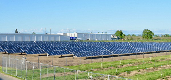 ShoEi Foods（U.S.A）では2014年に太陽光発電システムを導入、現在は必要電力の50～60％を賄っている。来年春には必要電力の100％近くを賄える予定
