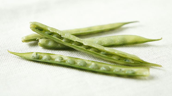 グアー豆由来の食物繊維は水溶性・高発酵性などの特徴を有する