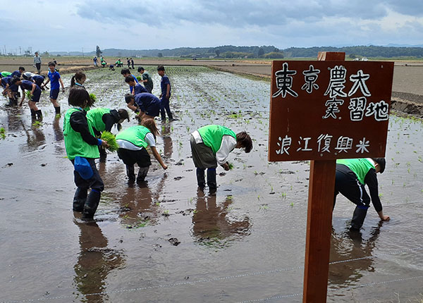 アイリスグループ、浪江町で田植えイベント実施　東京農大生ら集い復興支援