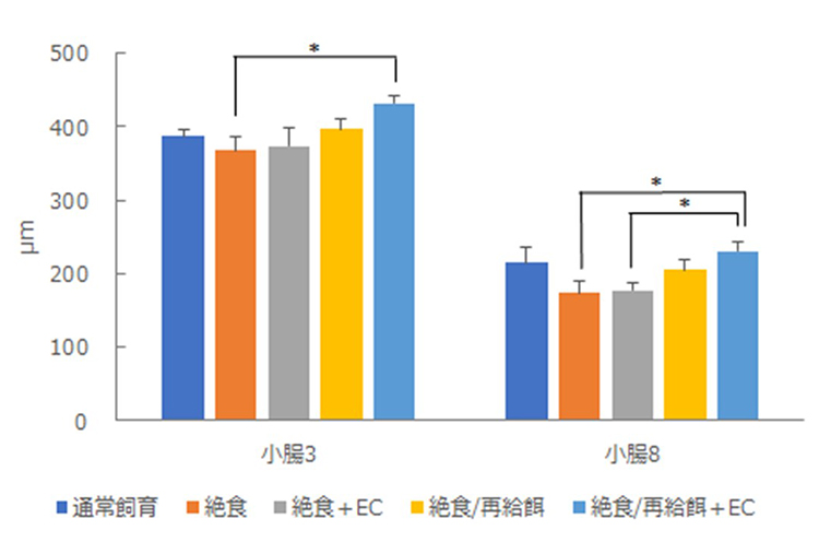 EC-12絨毛委縮抑制グラフ