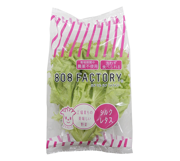 野菜工場「808FACTORY」、幅広い地域で販売　業績拡大に期待