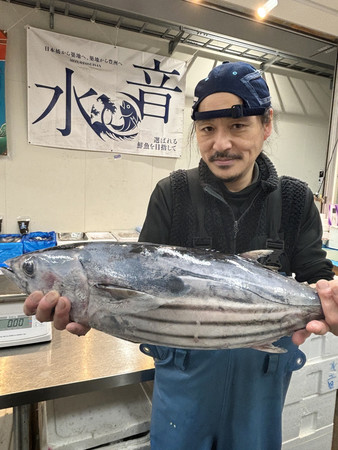 宮城県で好調な水揚げが続いているカツオ＝６日、東京都江東区の豊洲市場