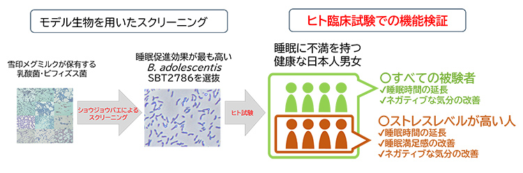 モデル生物を用いたスクリーニングで睡眠促進効果を示したビフィズス菌が、ヒトへの有効性を示した